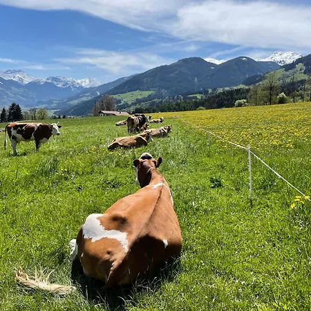 شقة Mountain Penthouse 8 & 9 *