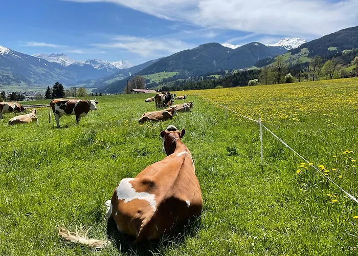 Appartement Mountain Penthouse 8 & 9 *