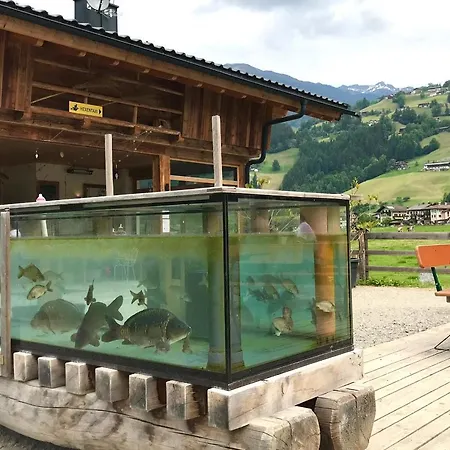 Mountain Penthouse 8 & 9 דירה פוגן