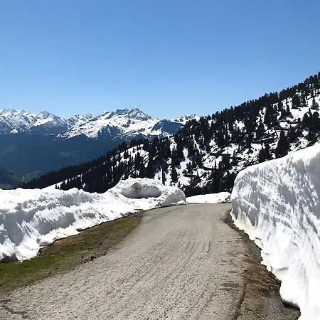 Mountain Penthouse 8 & 9 דירה *